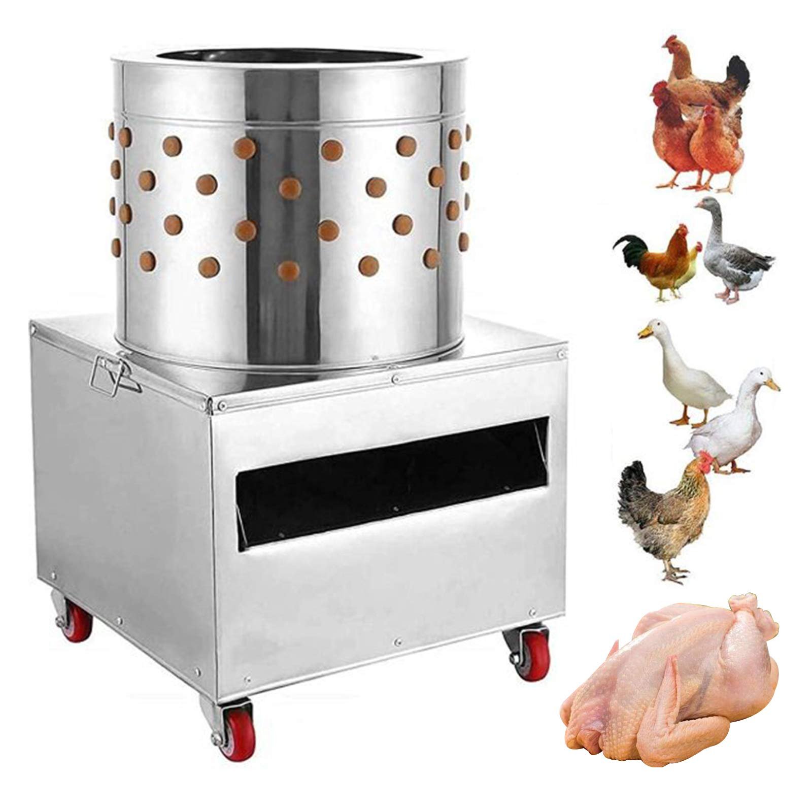 đá gà làng quê đá gà làng quê