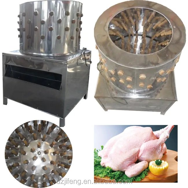 gà đá đẹp gà đá đẹp