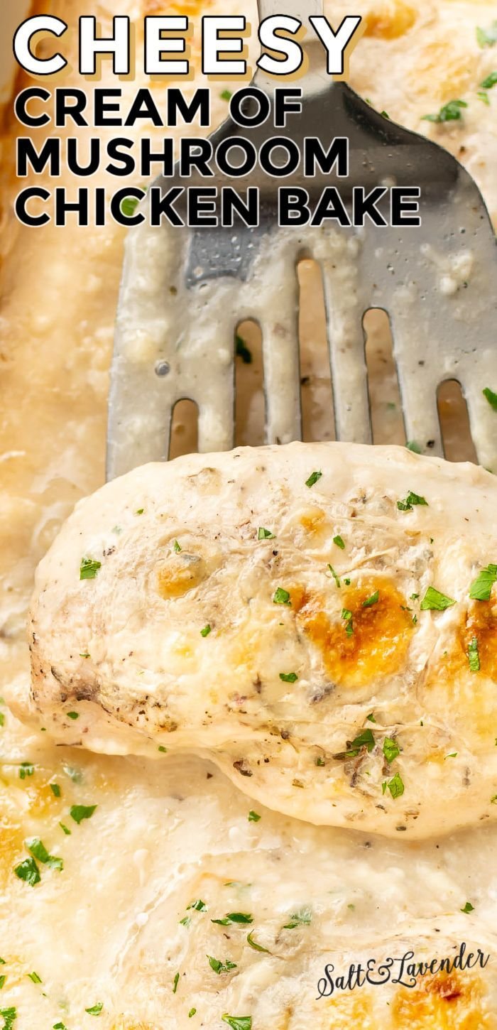 xem đá gà cựa sắt ở thomo xem đá gà cựa sắt ở thomo