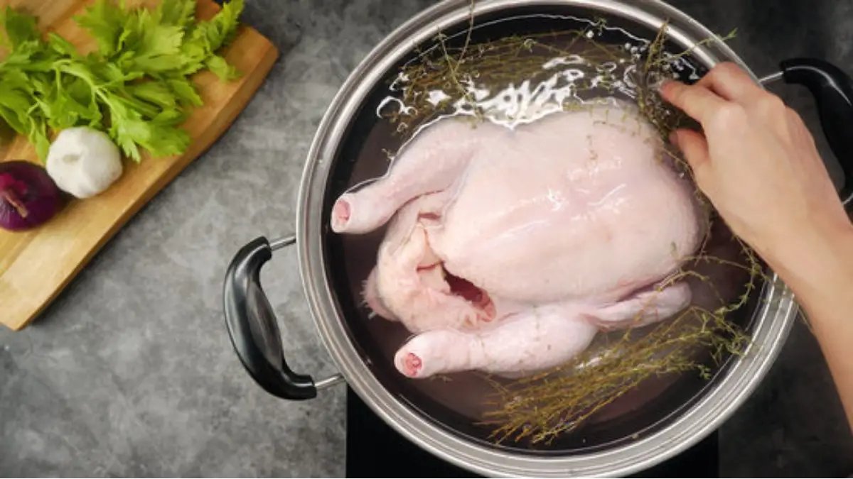 đá gà trực tiếp c3 đá gà trực tiếp c3