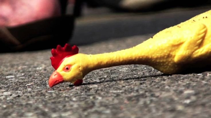 cách nuôi gà đá bằng thuốc cách nuôi gà đá bằng thuốc