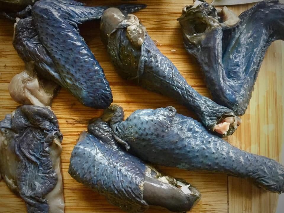 xem đá gà nòi cựa sắt,Giới Thiệu Độ C Xem Đá Gà Nòi Cựa Sắt xem đá gà nòi cựa sắt,Giới Thiệu Độ C Xem Đá Gà Nòi Cựa Sắt
