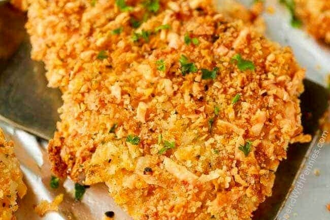 mua bán gà đá cựa sắt mua bán gà đá cựa sắt