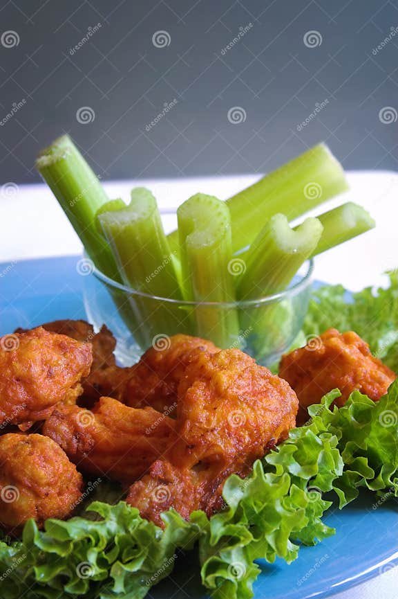 gà chọi đá về bị đau chân