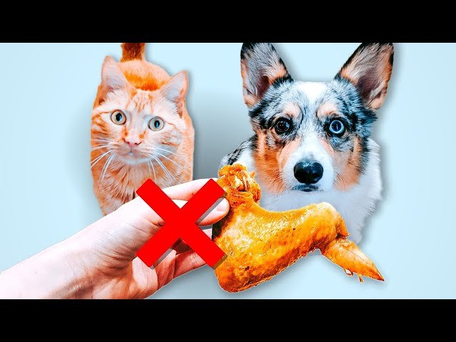 phó chủ tịch xã tân thành bình đá gà,Phó Chủ tịch xã Tân Thành: Bí quyết thành công từ một người lãnh đạo trẻ phó chủ tịch xã tân thành bình đá gà,Phó Chủ tịch xã Tân Thành: Bí quyết thành công từ một người lãnh đạo trẻ