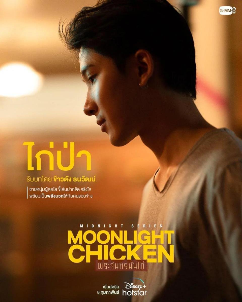 Khám phá mô hình trang trại gà chọi hiệu quả và bền vững tại Việt Nam